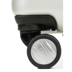 Roues Delsey VAVIN SECURITE (sauf taille cabine 55 cm)(une paire)